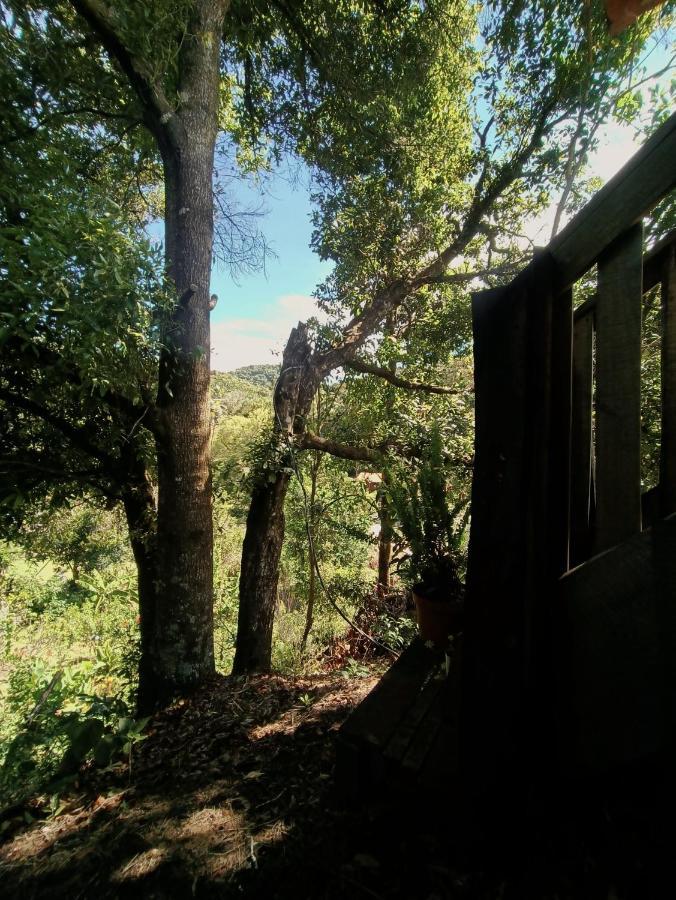 Valchi Hospedaje De Montana Villa Copey Buitenkant foto